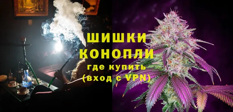 дарнет шоп  Жуковка  Бошки марихуана THC 21% 